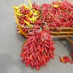 Wellness Hotel Kalocsa Kalocsa - Egyéb