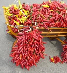 Wellness Hotel Kalocsa