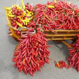 Wellness Hotel Kalocsa, Kalocsa - Egyéb