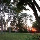 Villa Weber Romantic Resort Bonyhád - Környék