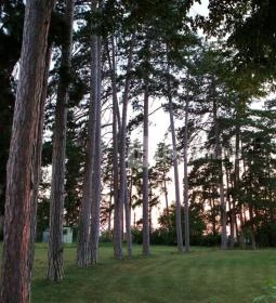 Villa Weber Romantic Resort