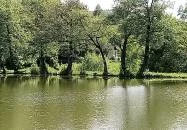 Szomjas Csuka Bélapátfalva