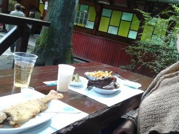 Erdei Halsütöde Lillafüred