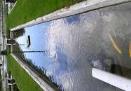 Erdei Halsütöde Lillafüred