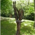 Hotel Orchidea Tengelic Tengelic - Környék