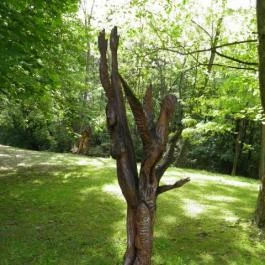 Hotel Orchidea Tengelic Tengelic - Környék