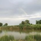 Erdész-tó Vendégház Ravazd - Környék