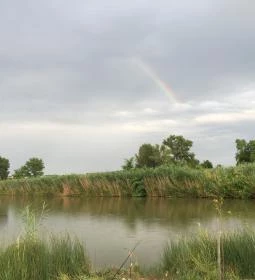 Erdész-tó Vendégház 