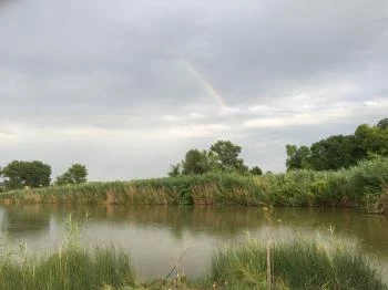 Erdész-tó Vendégház Ravazd