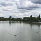 La Terazza Pizzeria Italiana Nyíregyháza - Egyéb