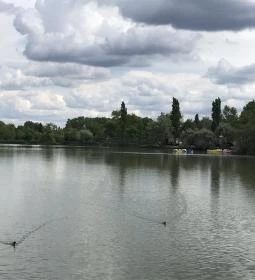 La Terazza Pizzeria Italiana