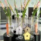 Gunaras Resort Spa Hotel Dombóvár - Belső