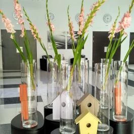 Gunaras Resort Spa Hotel, Dombóvár - Belső