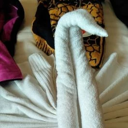 Royal Hotel, Cserkeszőlő - Belső