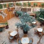 Hotel Dzsungel Nyíregyháza - Vendéglátás