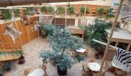 Hotel Dzsungel Nyíregyháza - Vendéglátás