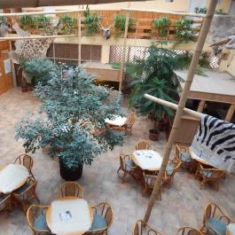 Hotel Dzsungel Nyíregyháza - Vendéglátás