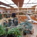 Hotel Dzsungel Nyíregyháza - Belső