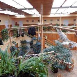 Hotel Dzsungel Nyíregyháza - Belső