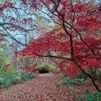 Szarvasi Arborétum Szarvas - Egyéb