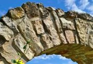 Dörgicsei Levendula Major Dörgicse Dörgicsei Levendula Major Dörgicse