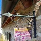 Dörgicsei Levendula Major Dörgicse - Egyéb