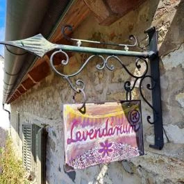 Dörgicsei Levendula Major, Dörgicse - Egyéb