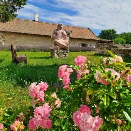 Dörgicsei Levendula Major, Dörgicse - Egyéb