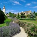 Dörgicsei Levendula Major Dörgicse - Egyéb