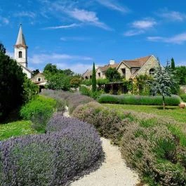 Dörgicsei Levendula Major, Dörgicse - Egyéb