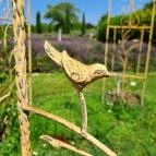 Dörgicsei Levendula Major Dörgicse - Egyéb