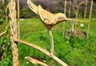 Dörgicsei Levendula Major Dörgicse Dörgicsei Levendula Major Dörgicse