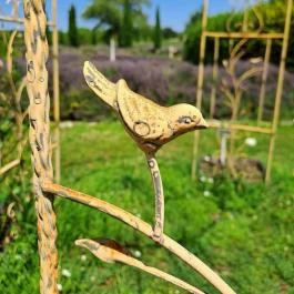 Dörgicsei Levendula Major, Dörgicse - Egyéb