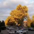 Hotel Európa Gunaras Dombóvár - Környék