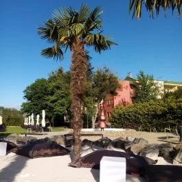 Belenus Thermalhotel Superior, Zalakaros - Medence/kert