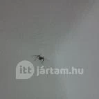 Hotel Napfény Balatonlelle Balatonlelle - Egyéb