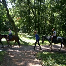 Fenyőharaszt Kastélyszálló Verseg - Szórakozás/Sport