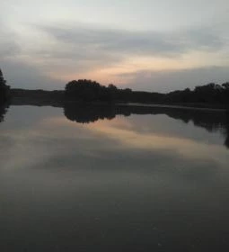 Denkpál-Hallépcső