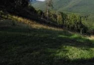 Eötvös Lóránt Menedékház - Turistamúzeum Dobogókő