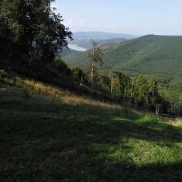 Eötvös Lóránt Menedékház - Turistamúzeum Dobogókő - Egyéb