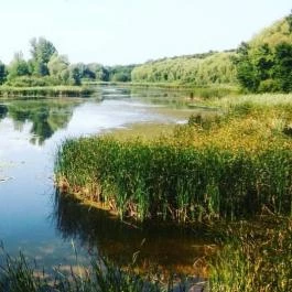 Kányavári-sziget Balatonmagyaród - Egyéb