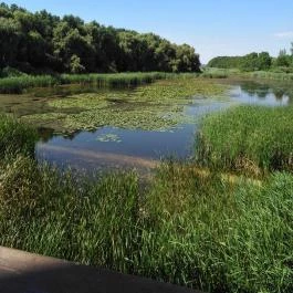Kányavári-sziget Balatonmagyaród - Egyéb