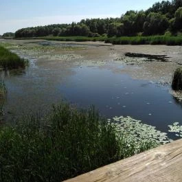 Kányavári-sziget Balatonmagyaród - Egyéb