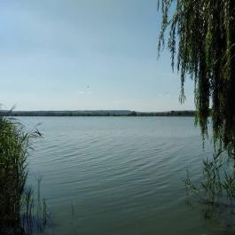 Kányavári-sziget Balatonmagyaród - Egyéb