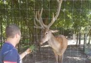 Kaszó Vadászház & Üdülő Kaszó