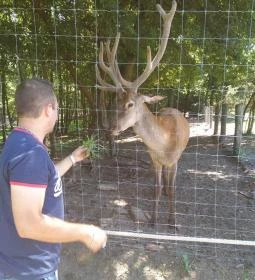 Kaszó Vadászház & Üdülő