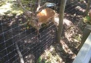 Kaszó Vadászház & Üdülő Kaszó