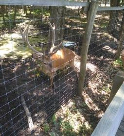 Kaszó Vadászház & Üdülő