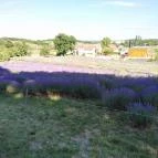 Pannonhalmi Főapátság Pannonhalma - 