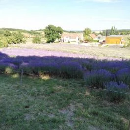 Pannonhalmi Főapátság Pannonhalma - Egyéb
